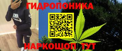 ГАЛЛЮЦИНОГЕННЫЕ ГРИБЫ Канаш