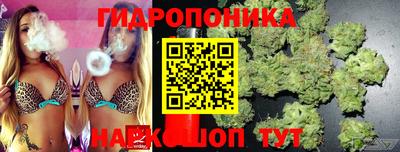 эйфоретик Камышлов