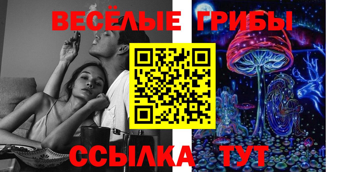 Галлюциногенные грибы мухоморы Кострома