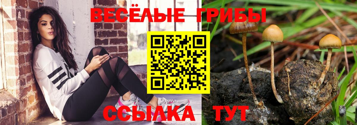 Кострома  Галлюциногенные грибы GOLDEN TEACHER  Вход с VPN 